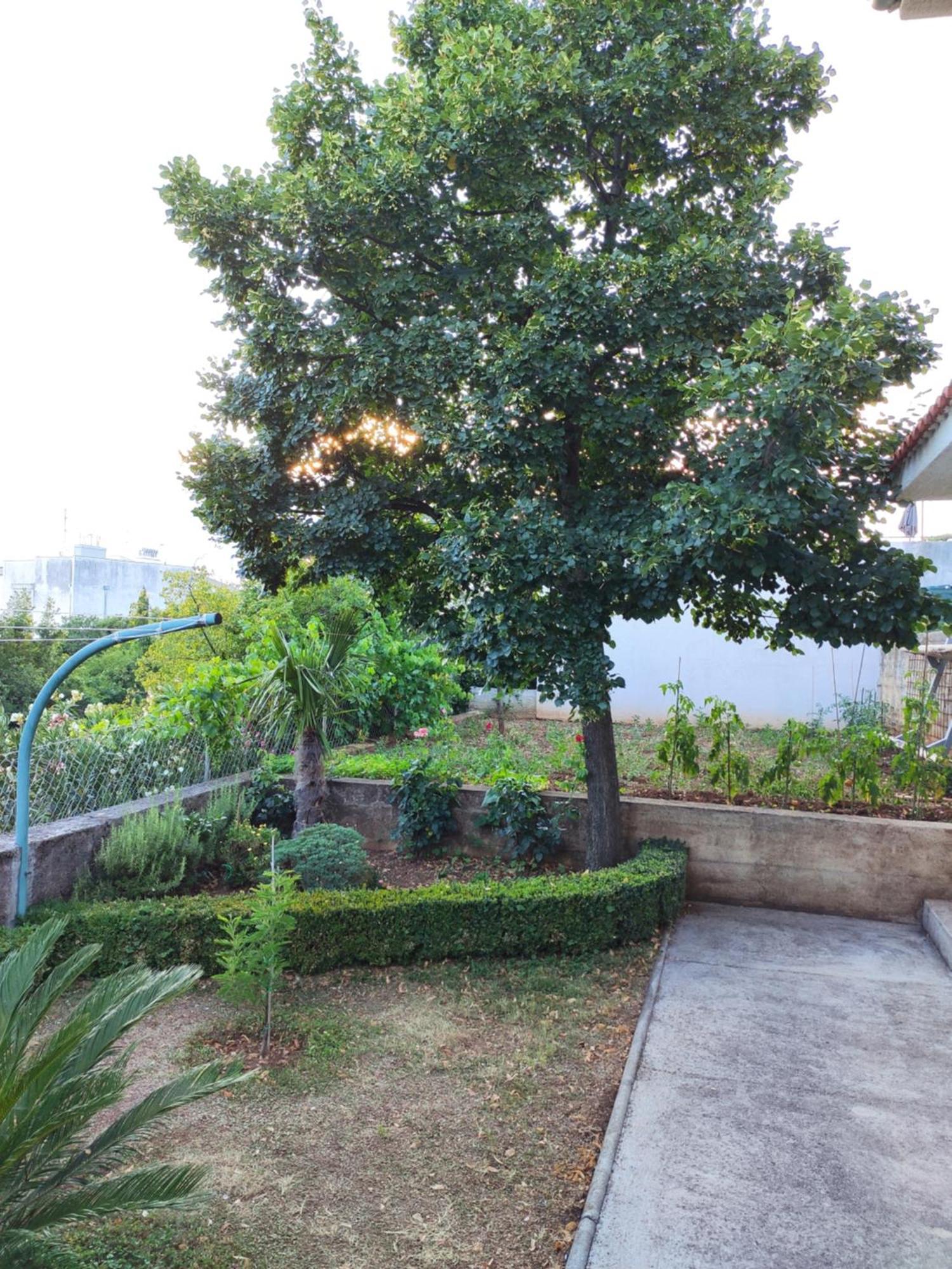Apartment With Private Garden And The Terrace Ev Station Available Crikvenica Luaran gambar