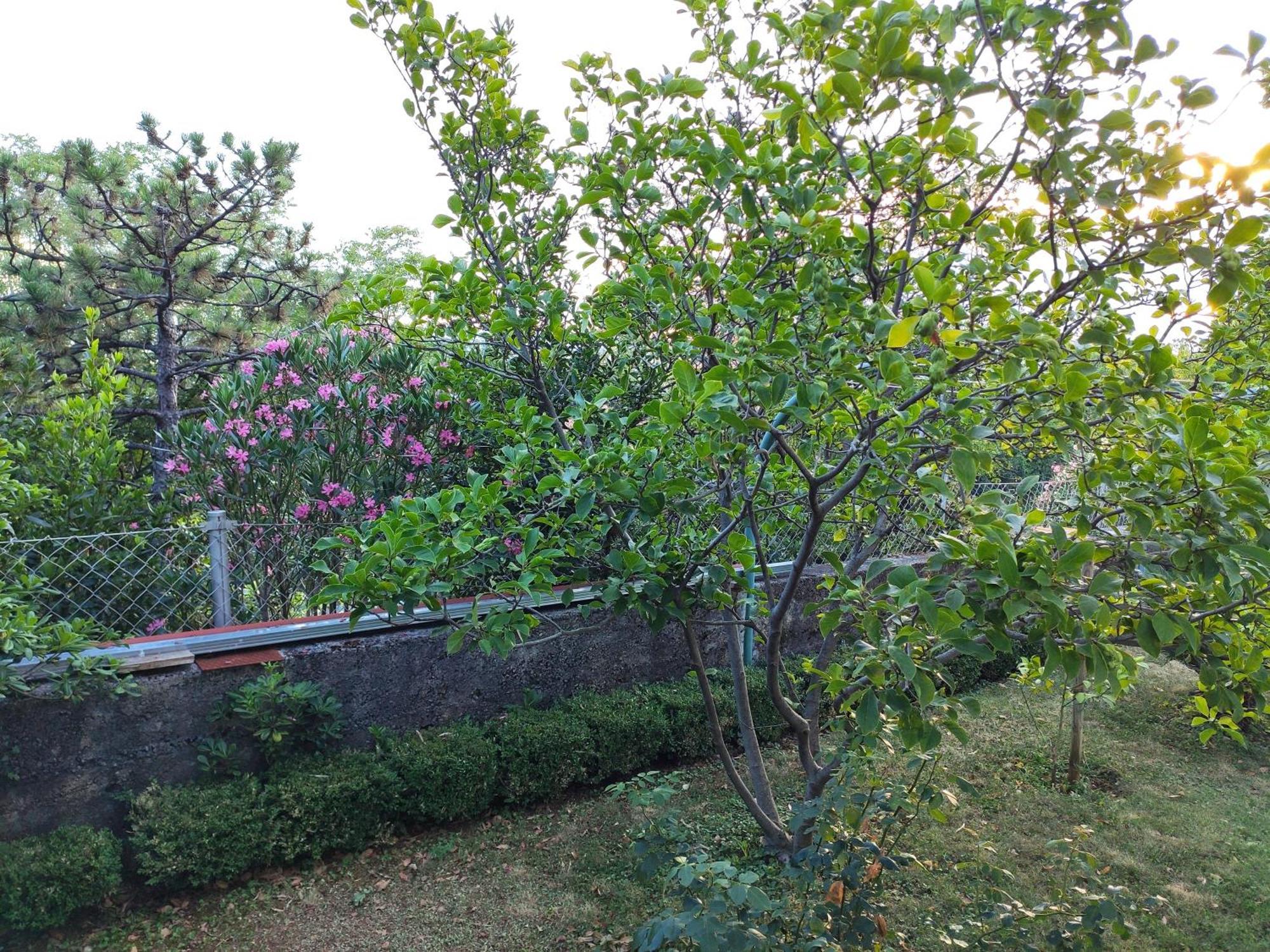 Apartment With Private Garden And The Terrace Ev Station Available Crikvenica Luaran gambar